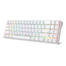 Royal Kludge RK71 Blue Switch RGB Hot Swappable Tri-Mode Wireless Mechanical Keyboard