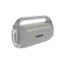 HiFuture MusicBox 100 Wireless Bluetooth Speaker with Dual Wireless Microphone