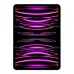 Apple iPad Pro 11" M1 Chip Liquid Retina Display 256GB Wi-Fi + Cellular Space Gray