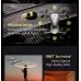 Flying Car