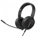 AVerMedia BO317 Camera & Headphone Video Conference Kit